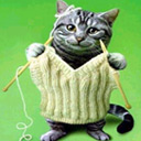 qq表情图片为你织毛衣